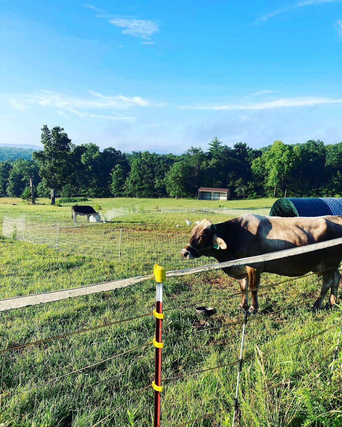 Conversations with Tara Burns Voyage Knoxville Magazine