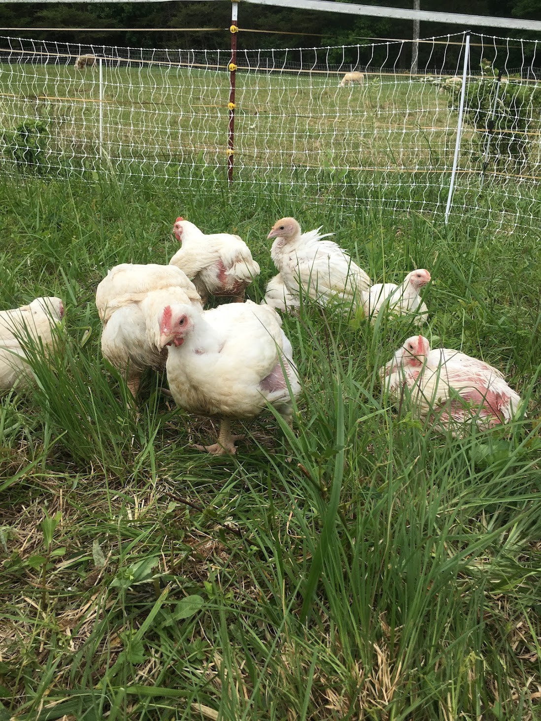 Conversations with Tara Burns Voyage Knoxville Magazine